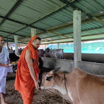 ಕರಡೊಳ್ಳಿ  ಗೋಶಾಲೆ